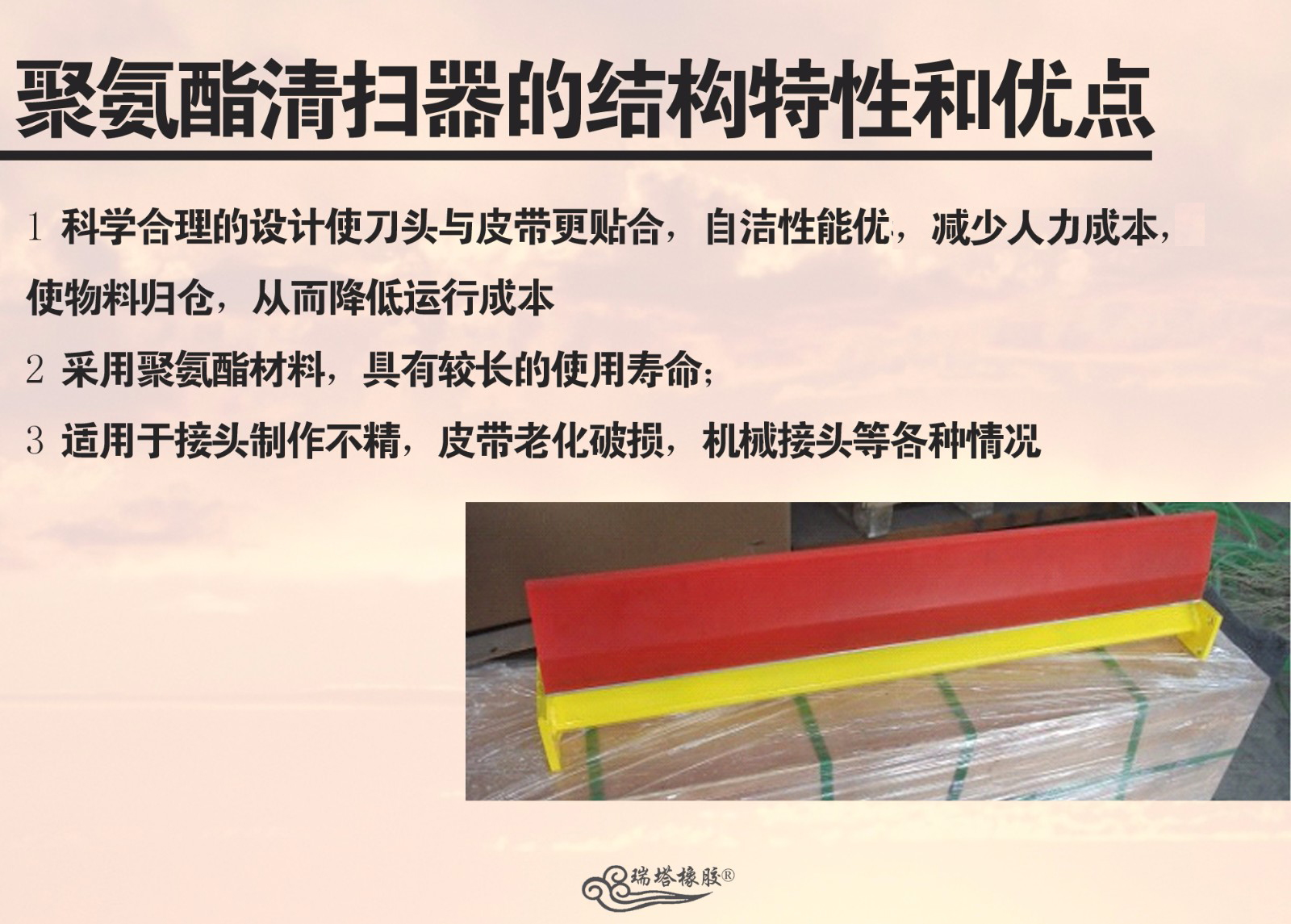 5f32445388a59.jpg